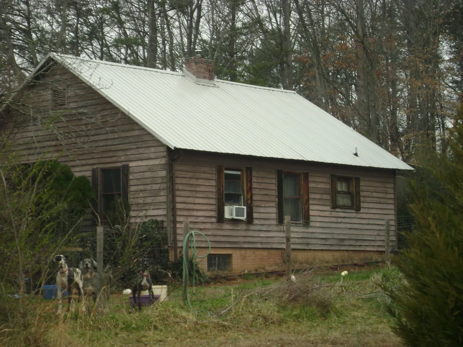 White metal roof on an old wood sided farmhouse, from a Metal Roof Installation job in Tahoma